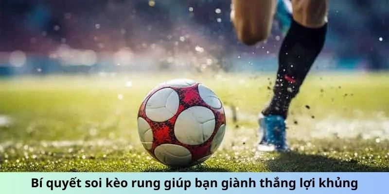 Bí quyết soi kèo rung giúp bạn giành thắng lợi khủng