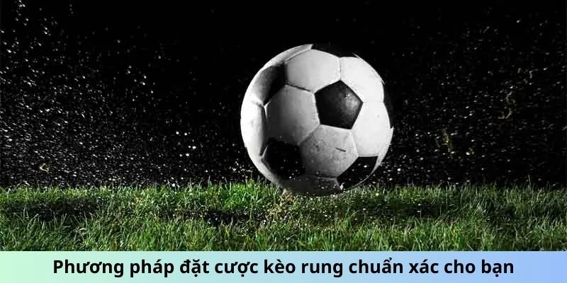 Phương pháp đặt cược kèo rung chuẩn xác cho bạn